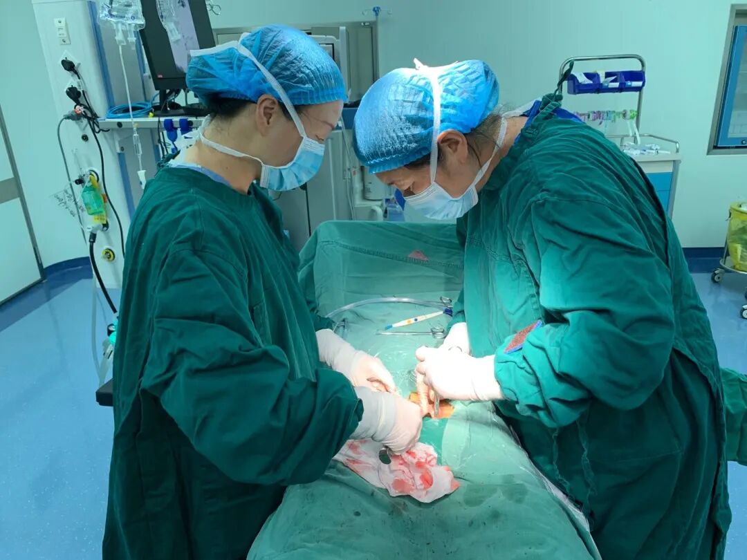 无影灯中间是什么科普视窗丨无影灯 知多少_https://www.jmylbn.com_新闻资讯_第5张