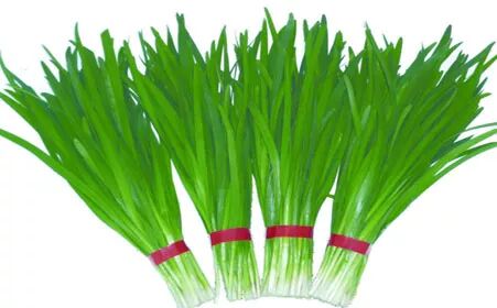 代理好的零元的创业项目_好开店项目免费创业代理_投资0元创业好开店项目