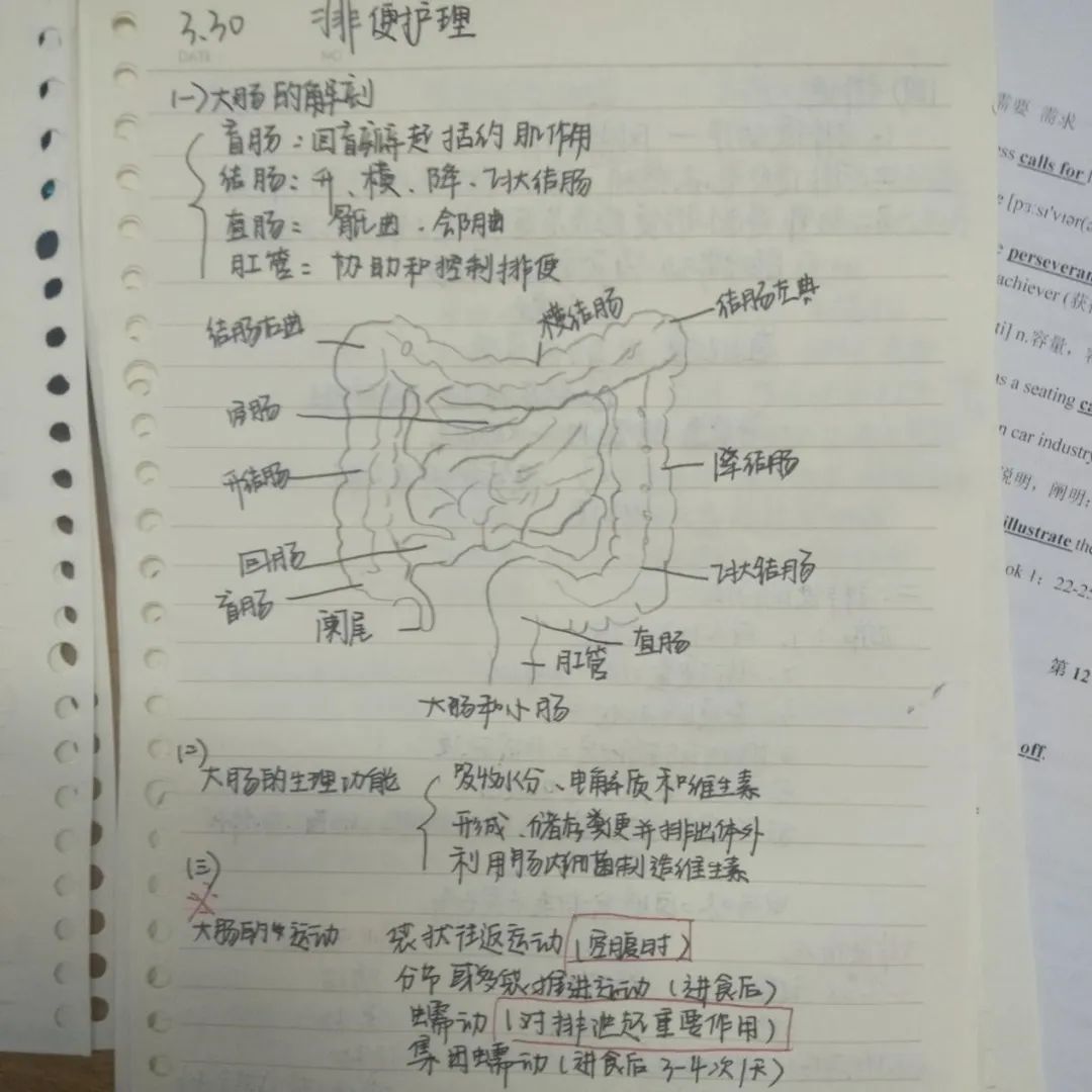 幼儿教案详细教案怎样写_护理教案怎么写_四川大学网络教育学院护理毕业实报告如何写