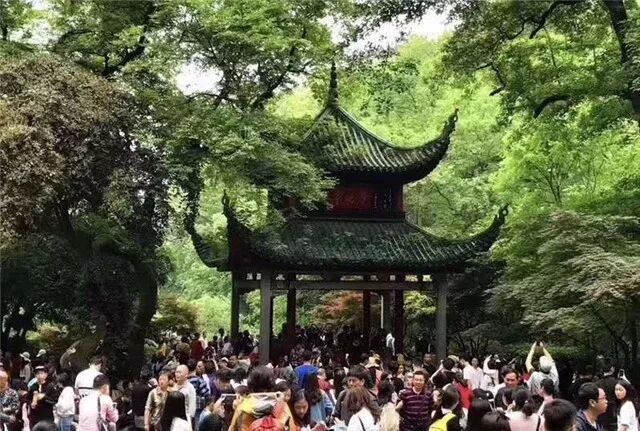 长沙 网红城市 旅游 五一