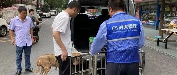 @长沙养狗人！速看：动真格！没收犬只！罚款1000！