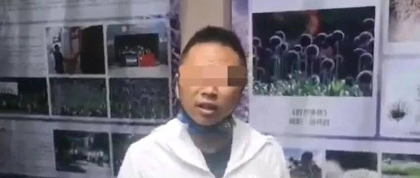 张某某，3年内禁入！郑某，终身禁入！