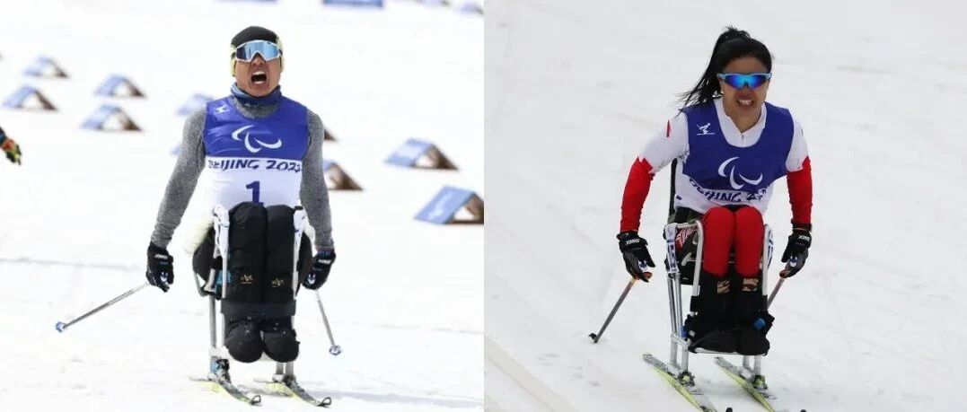 ×2！郑鹏！杨洪琼！