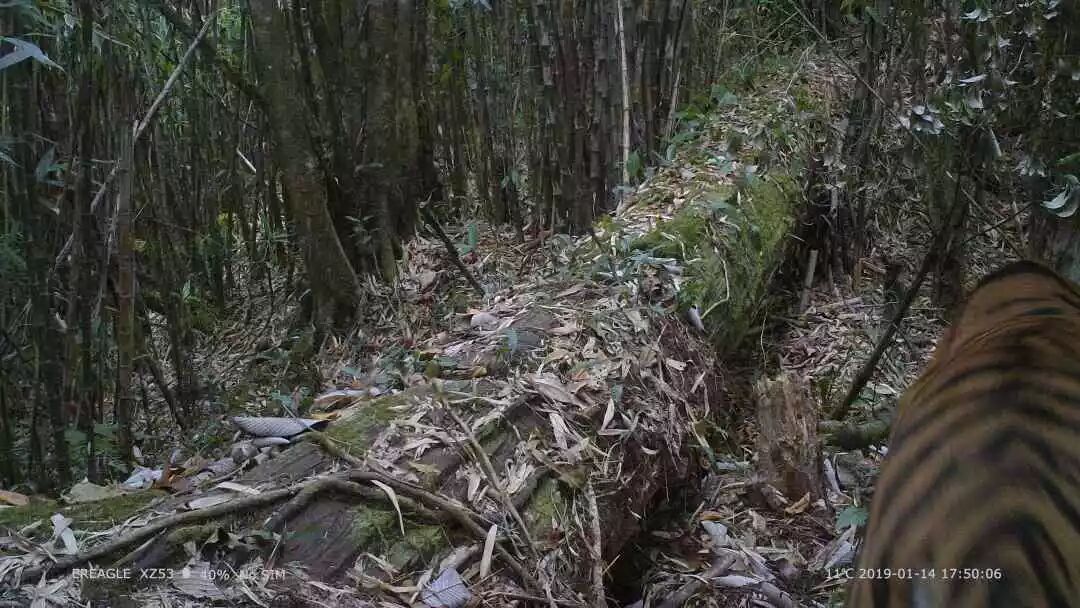 �簲����ح������㹫�������� ��ҹ����ͷ��·��27��