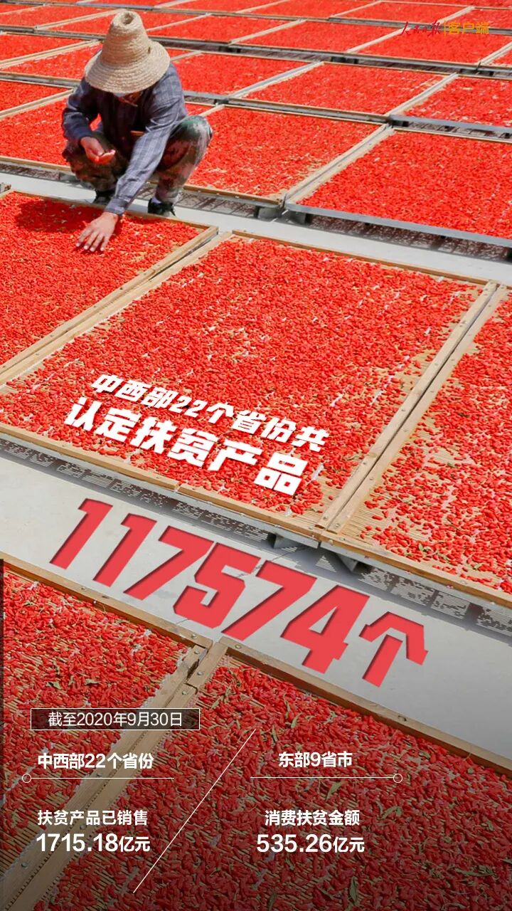 这张扶贫成绩单，很中国！(图7)