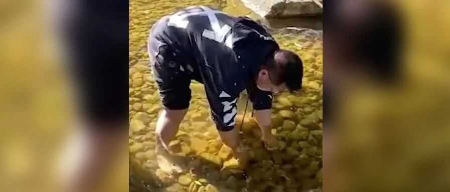 爸爸这个行为，引全网点赞！