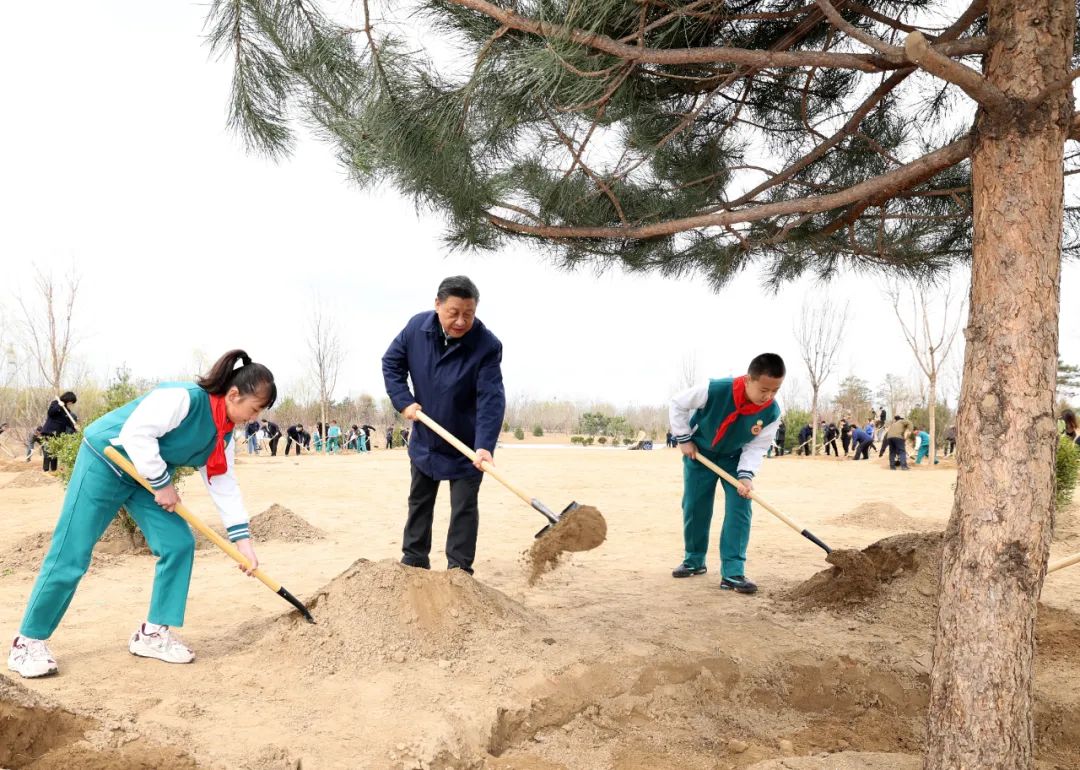 习近平参加首都义务植树活动