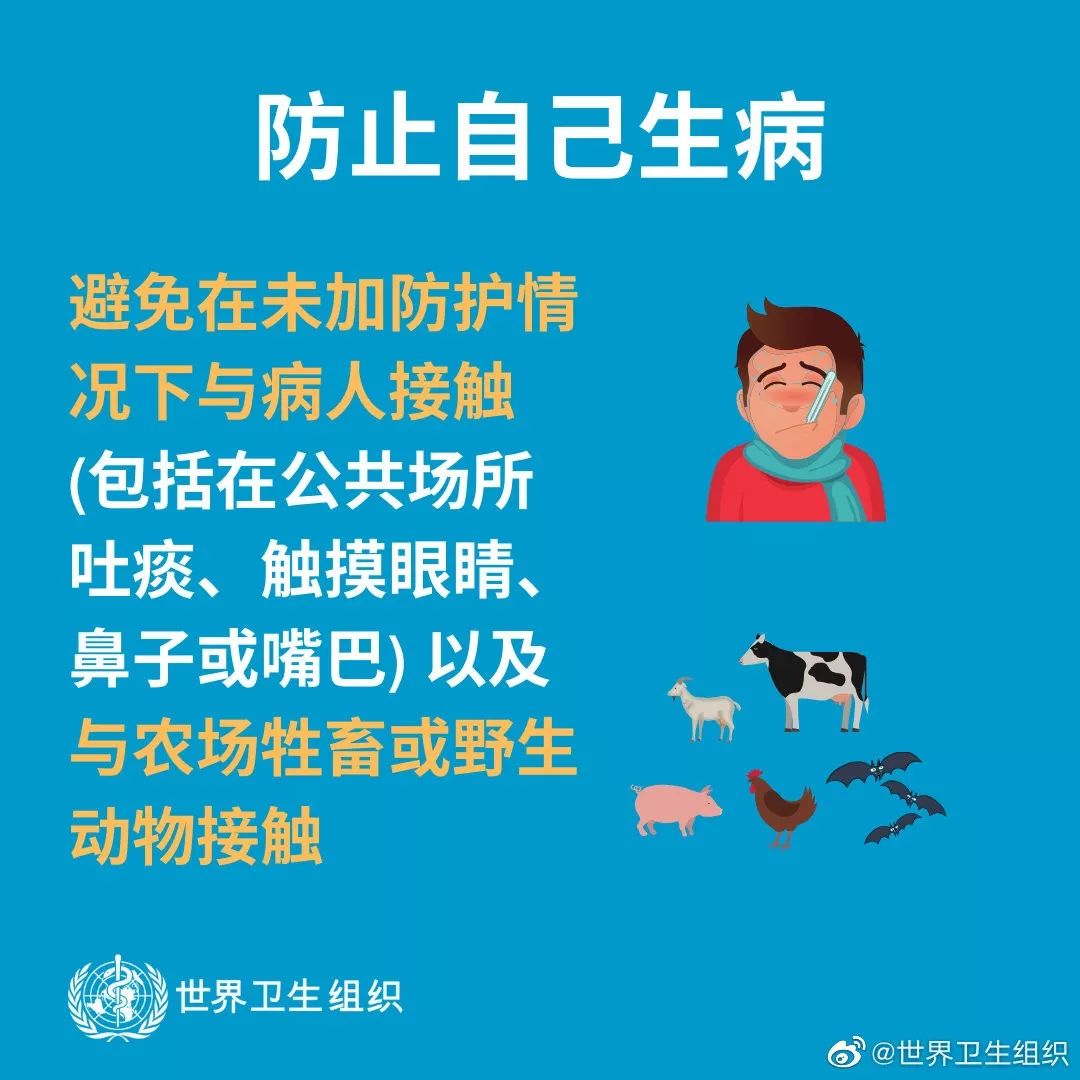 ���͹�״������Ⱦ���ף��������ͨ��