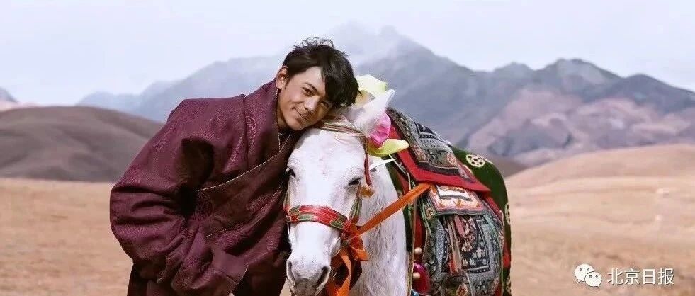 全国都在抢丁真！刷屏背后的真相，很燃