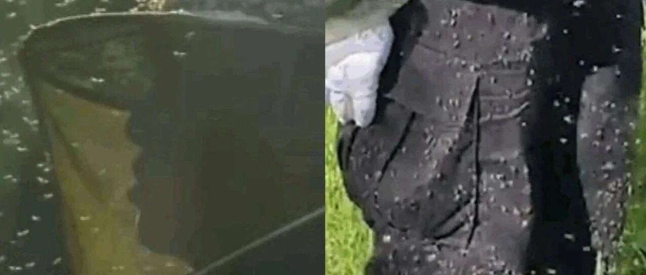 这里一巴掌可以拍死100多只蚊子，驻守的他们却说：不苦！