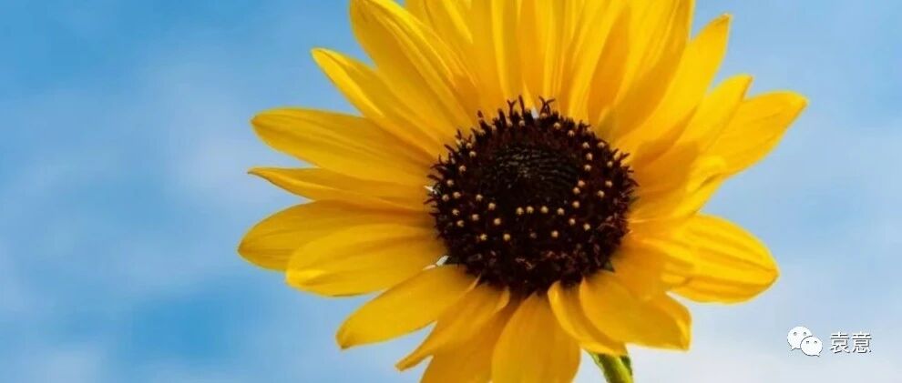 高三心态调整的10大诀窍，助你尽快调整心态