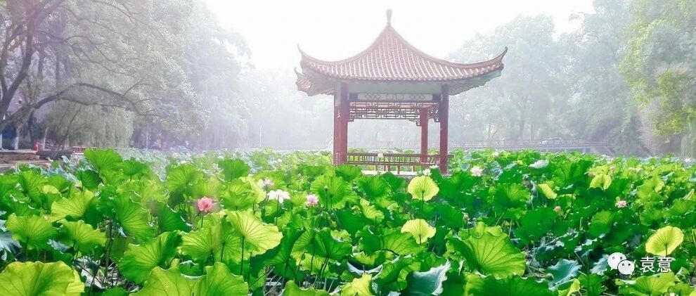 全国“最难考”的56所一流大学！考上哪一所都大有前途