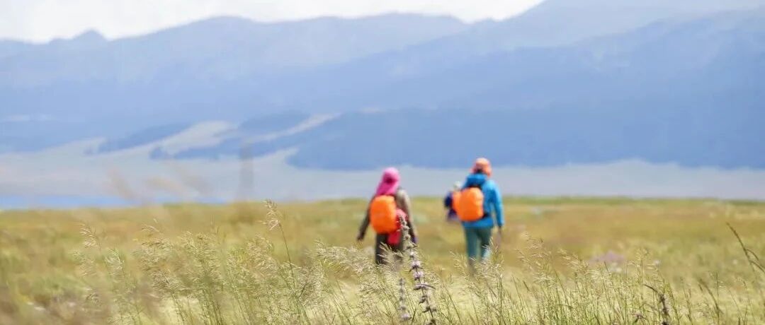 如何做一名合格的高中生家长？从教20年的班主任这样说