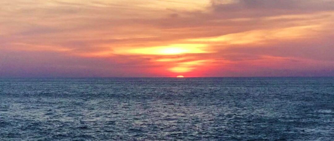 上了名校才知道，人和人的差距其实是家庭和视野的较量