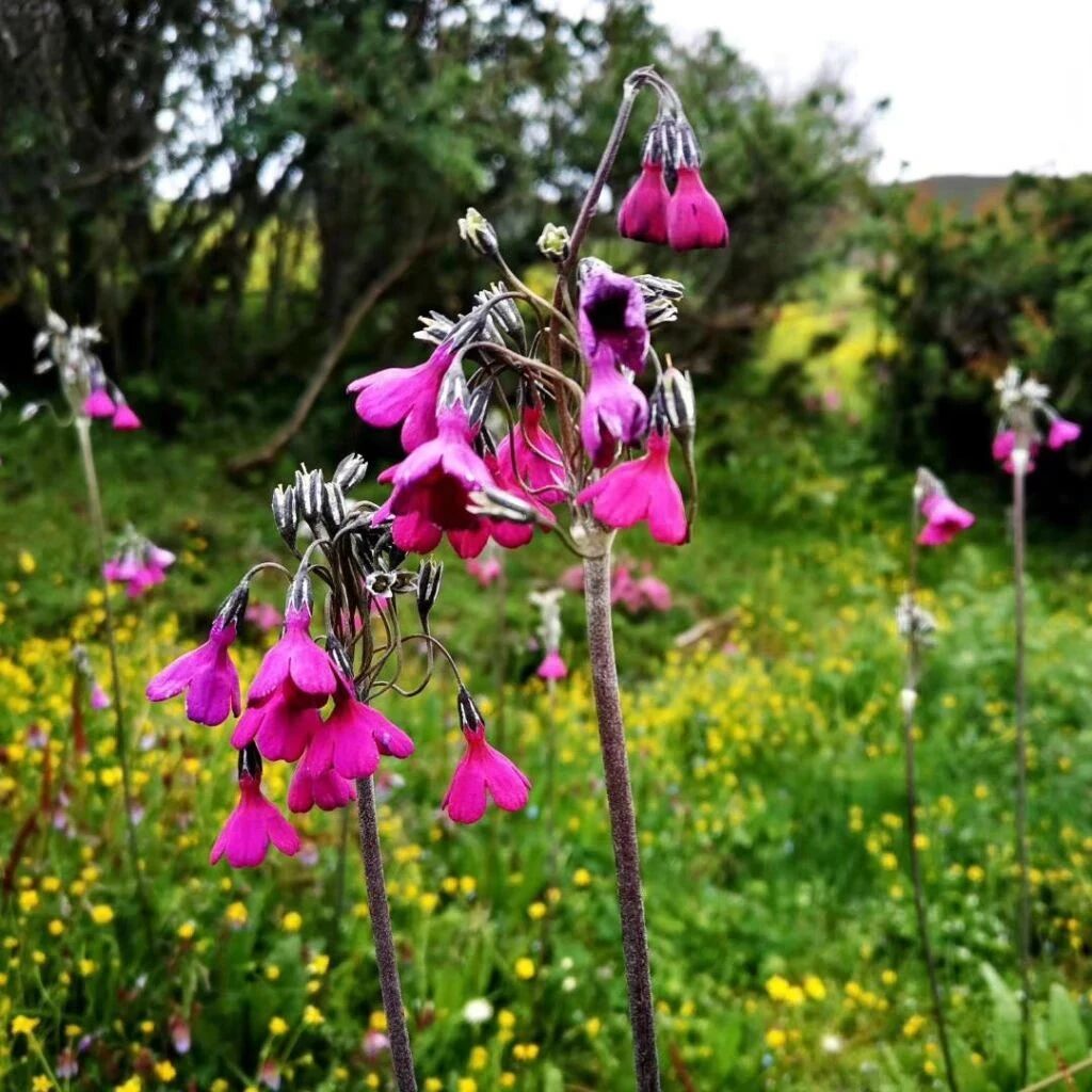 班主任忠告：给孩子播下这6个好习惯，就是播下好的命运种子！