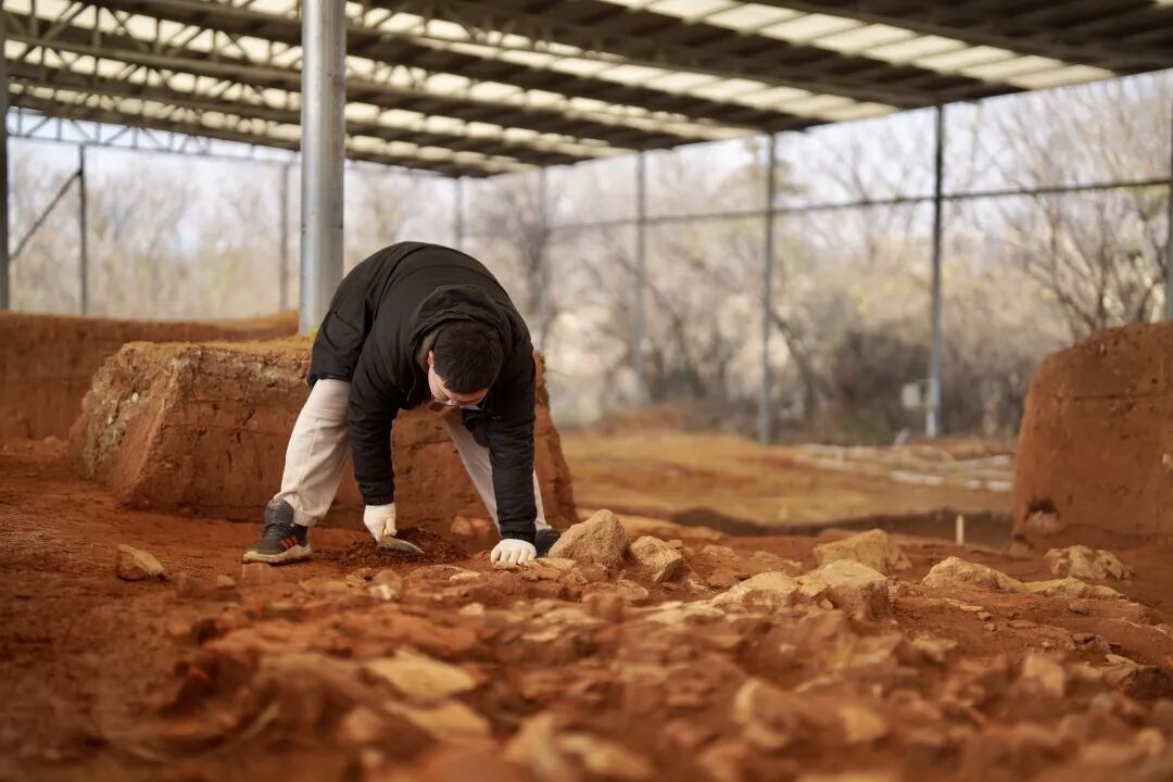 考古队员在杨家湾北坡进行发掘.jpg