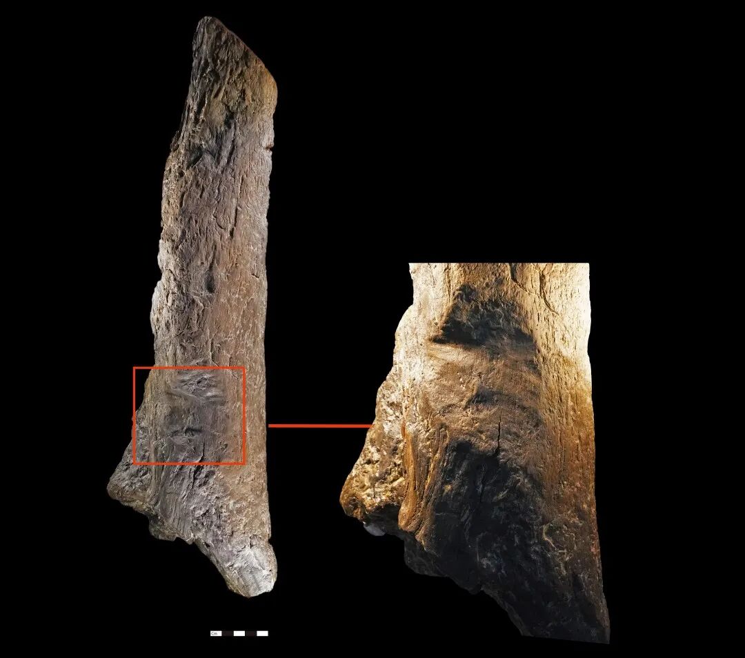 图6 带砍切痕的木头(1).jpg