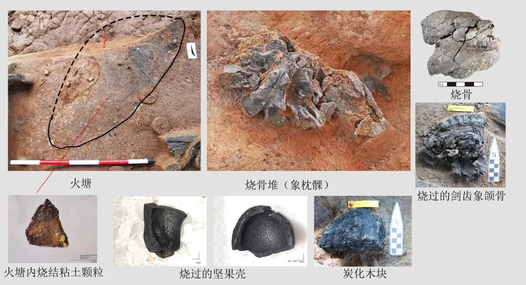 图16 系统性用火 .jpg