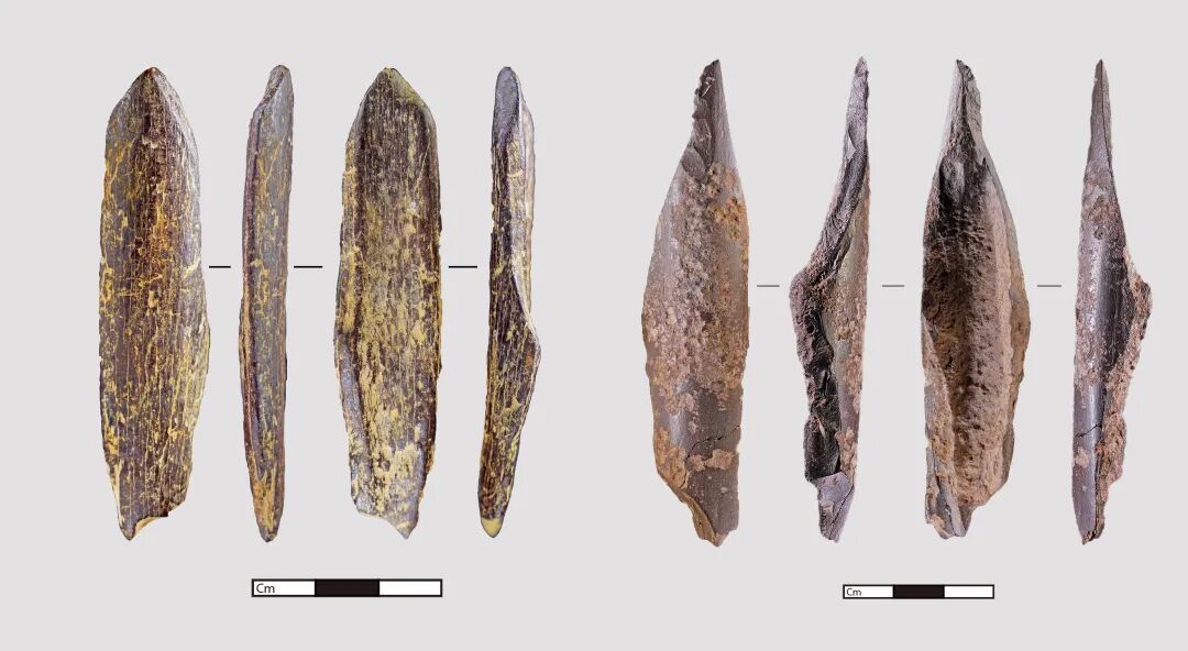 图7 部分出土骨器.jpg