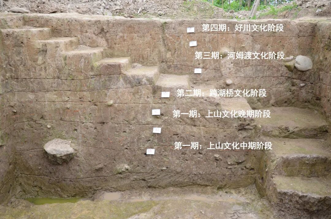 图3 遗址中心地层剖面.jpg