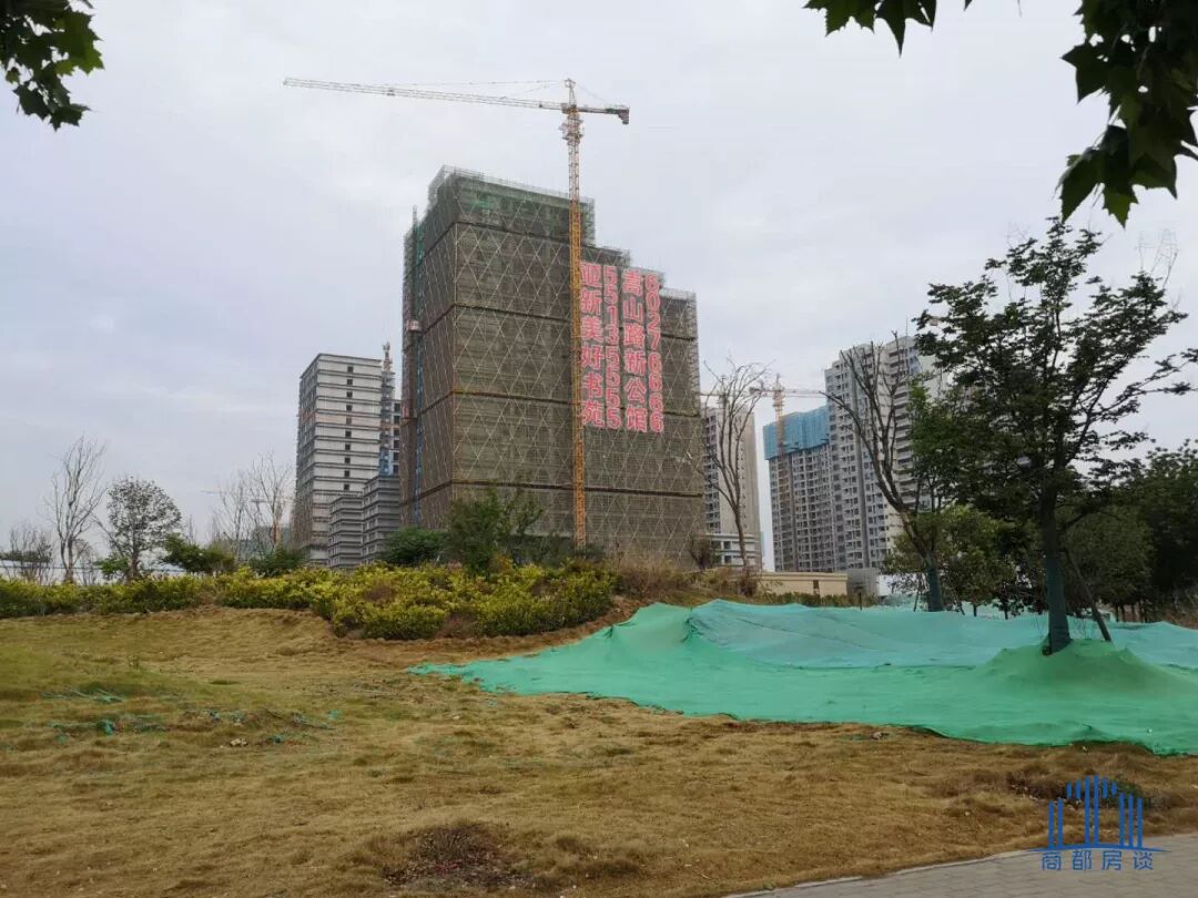 ΢ͼƬ_20190603094745