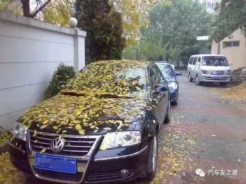 汽车不开最多能停放多少天？修车师傅：尽量不要超过这个时间