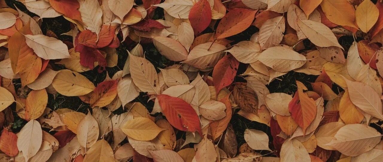 贝索斯如何识人、留人与管人 |【经纬低调分享】