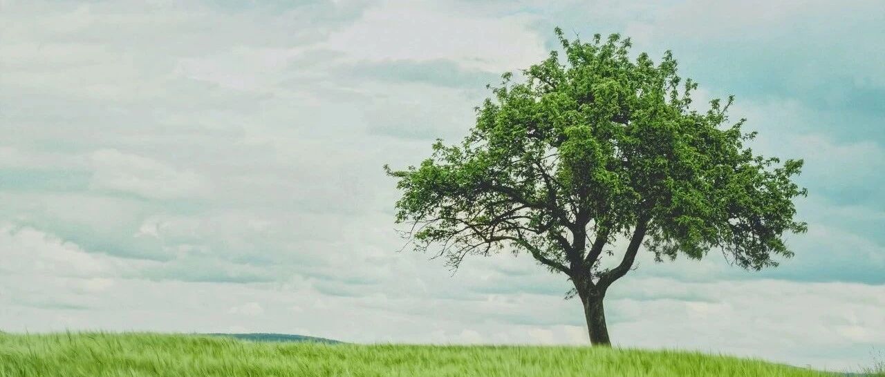 一个人是否靠谱，就在于确定性 |【经纬低调分享】