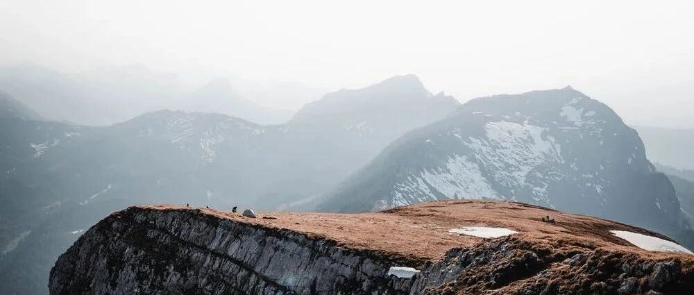 10年观察1000家企业，最终成大事的，都有4个特质 |【经纬低调分享】
