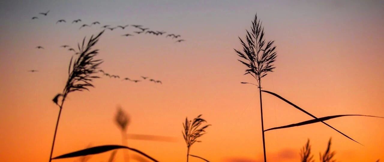 为什么那些实现了财务自由的人，都说自己不爱钱？ |【经纬低调分享】