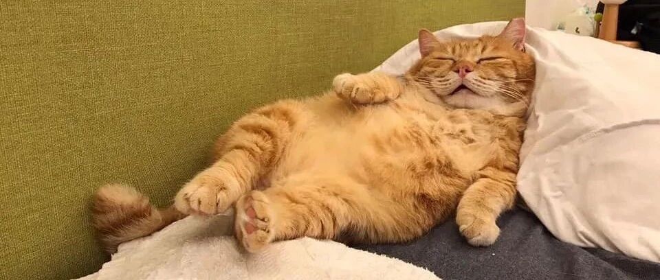 这每时每刻都很累的样子，像极了你的五一长假|[经纬低调分享]