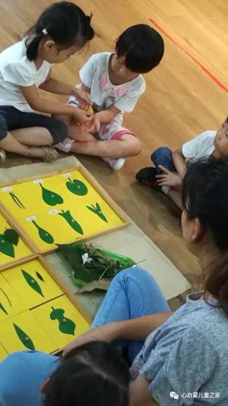 心启蒙儿童之家