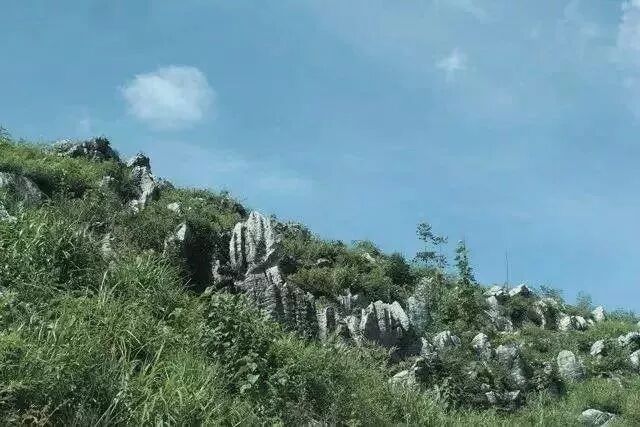 安化黑茶品质的关键——独特的冰碛岩层