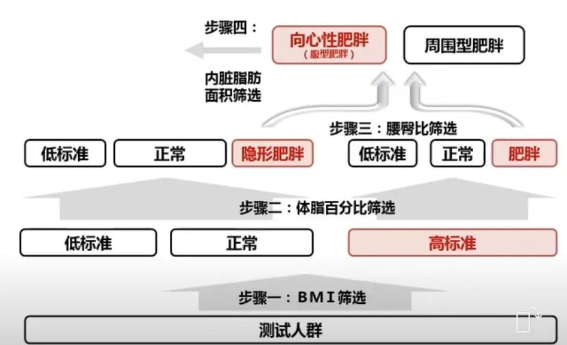 inbody身体水分为什么会少Inbody人体成分分析让我们更清楚地了解自己_https://www.jmylbn.com_新闻资讯_第19张