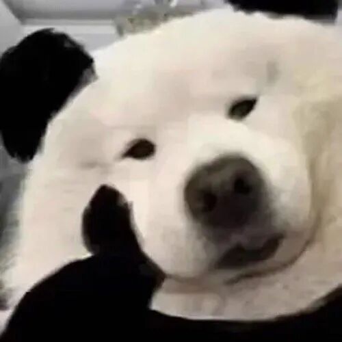 和平精英开挂视频下载_和平精英外挂市视频_和平精英视频开挂