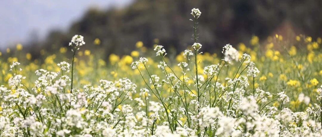 13岁儿子最多长到1米65！妈妈痛哭，医生：家长都有这个通病