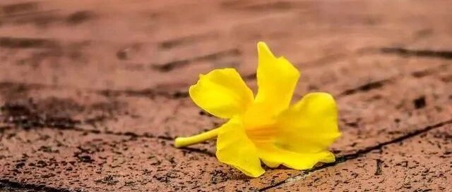 孩子有这4个现象，说明在无效学习，家长快对照看看吧