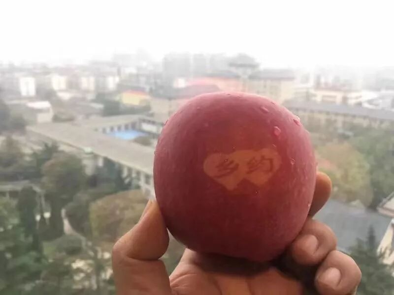 乡村爱情2cctv节目官网_爱情乡村二丫_秒懂百科乡村爱情