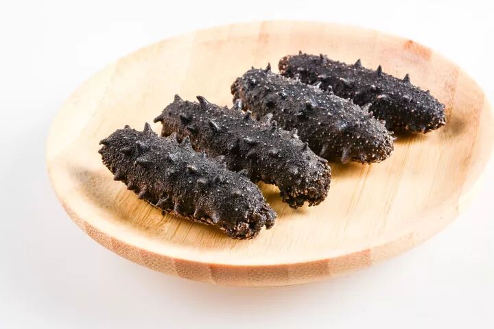 海参创造的十大奇迹，大部分人都不知道