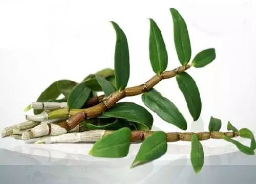 西洋参+铁皮石斛,适合长期抽烟人士，常喝还精神！