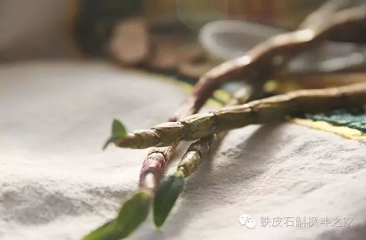 都吃铁皮石斛，一个吃100克，一个吃1000克，结果大不同！