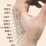 这块骨头硬的人，一般都长寿，为什么？