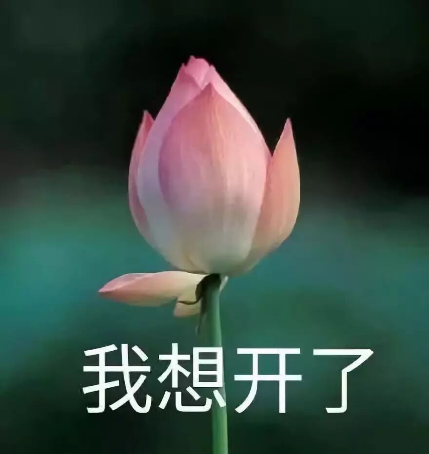 孩子究竟能不能打？心理学教授的答案让人很意外相关资料 21
