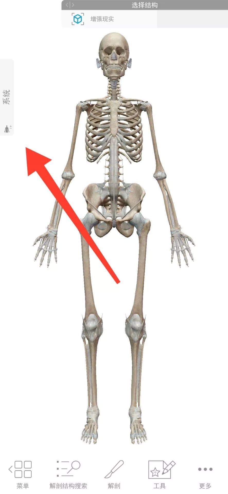 今天给大家分享一款人体解剖学图APP，内容极其重口，慎点！(图5)