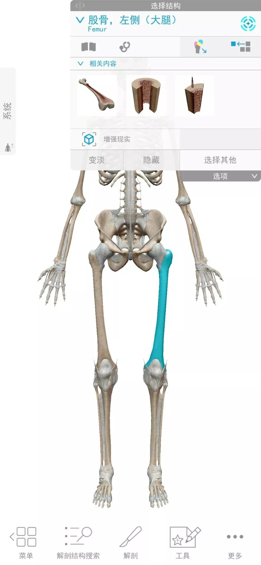 今天给大家分享一款人体解剖学图APP，内容极其重口，慎点！(图3)