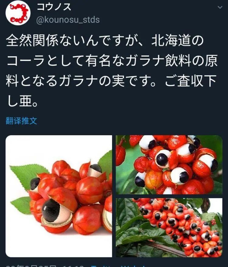 拜托了潮玩 自由微信 Freewechat