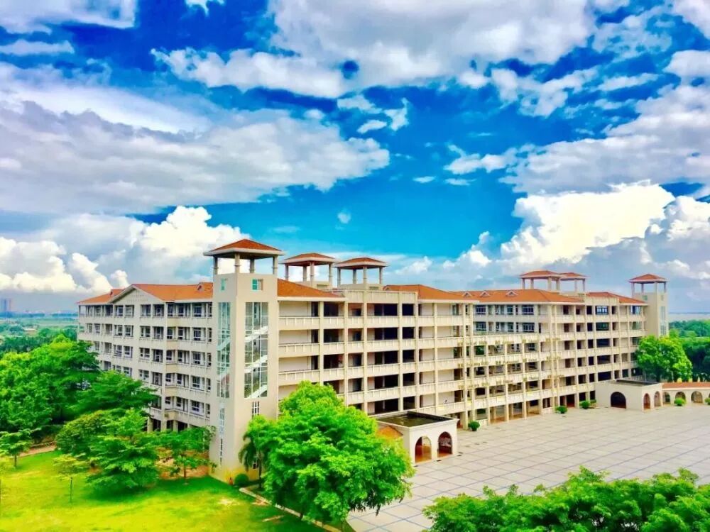 江湖龙虎门国语高清_龙虎门国语高清mp4下载_虎门外国语学校