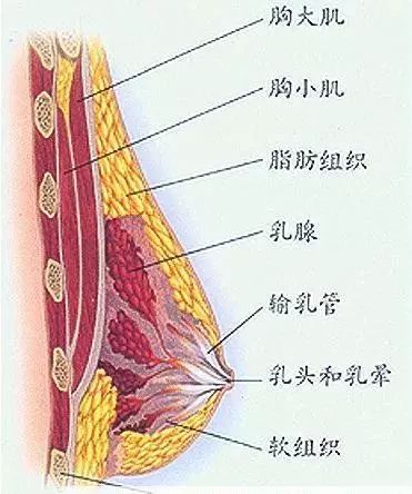 「鬥魚一姐」直播翻車現場！關掉濾鏡，真人醜到不敢認… 時尚 第22張