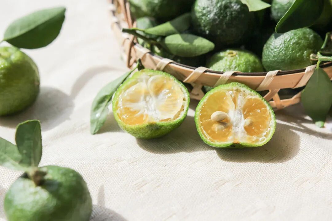 科普篇 | 史上最专业「台湾香檬」百科词条 - 广州信烨昌生物科技有限