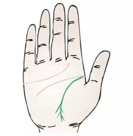 手相圖解 生命線分叉代表了什麼 每日運勢播報 微文庫